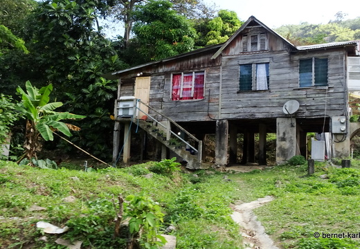 20-03-02-charlotteville-008