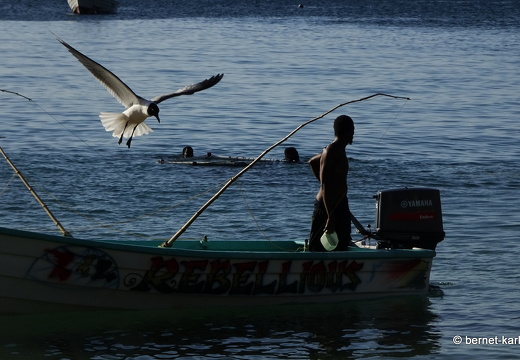 20-02-29-charlotteville-strandfischer-042