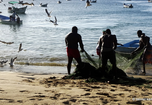 20-02-29-charlotteville-strandfischer-024