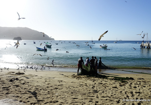 20-02-29-charlotteville-strandfischer-023