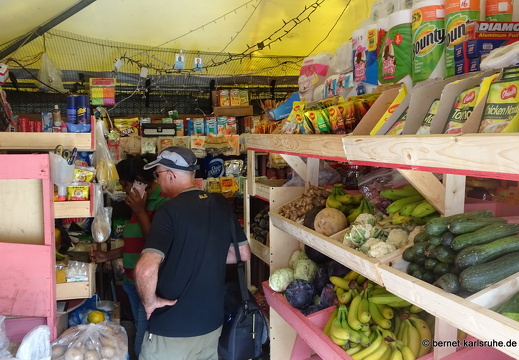 20-02-28-charlotteville-106