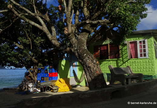 20-02-28-charlotteville-057