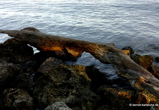 20-03-14-bonaccord-vogelschutzgebiet-047