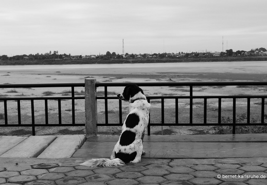 15-01-10-vientiane-215