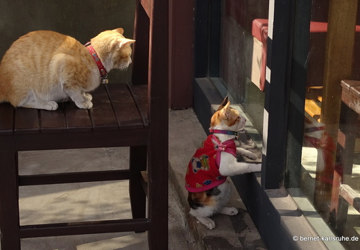 15-01-13-vientiane-061