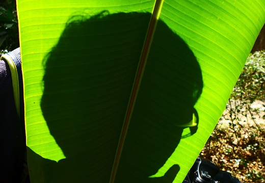 15-01-17-ban keun-zoo-146