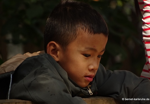 15-01-17-ban keun-zoo-265