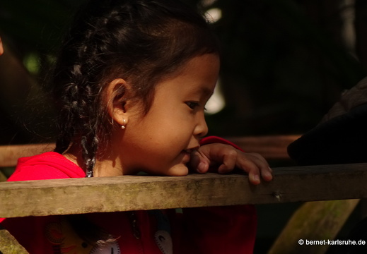 15-01-17-ban keun-zoo-266