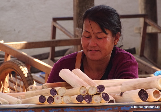 15-01-17-ban keun-zoo-293