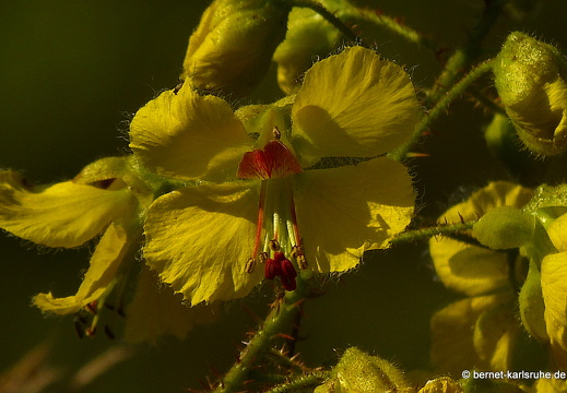 15-01-18-ban keun-141