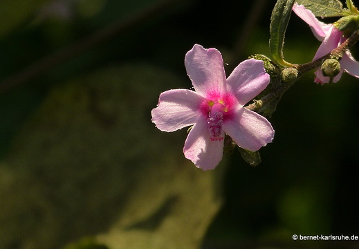 15-01-18-ban keun-178