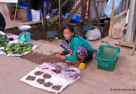15-01-23-vangvieng-morgenmarkt-015
