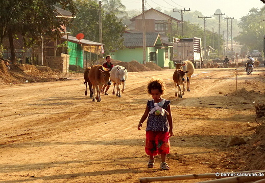 15-01-23-phokham-099