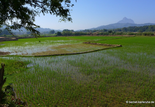 15-01-25-kasi-namlik-141