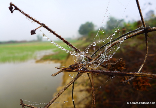 15-01-27-kasi-fruehnebl-namlik-093