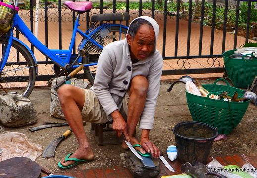 15-01-29-luangprabang-morgenmarkt-021