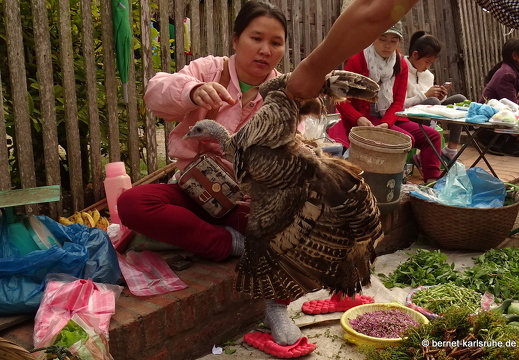15-01-31-luangprabang-morgenmarkt-002