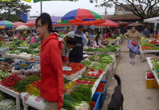15-02-08-luangnamtha-traditioneller markt-239