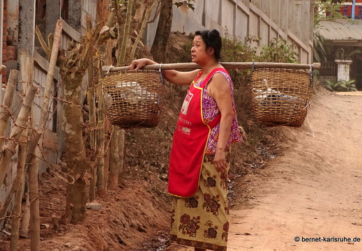 15-02-10-luangnamtha-138