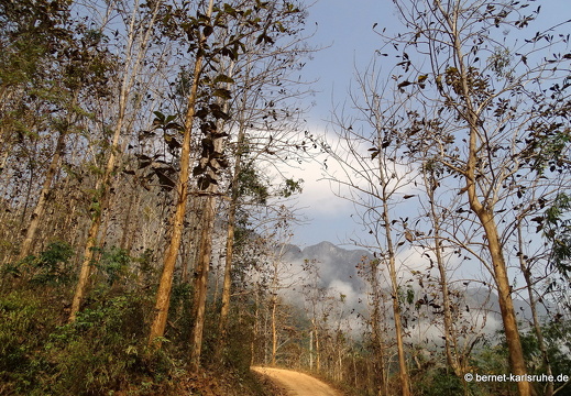 15-02-22-nongkiao-120