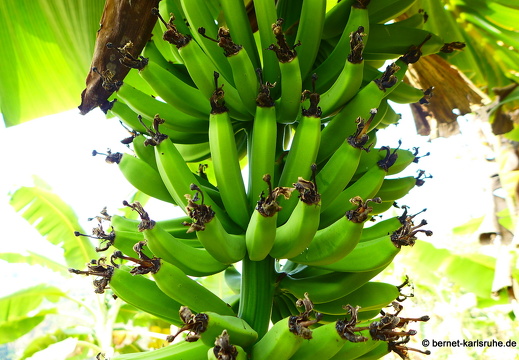 15-02-23-nongkiao-066