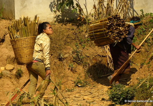 15-02-24-nongkiao-121