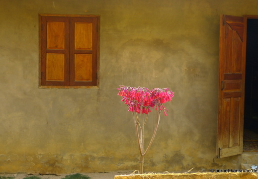 15-02-24-nongkiao-225