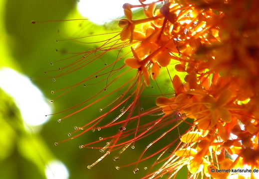 15-02-27-luangprabang-220