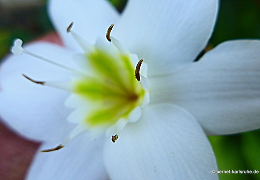 15-02-28-luangprabang-048