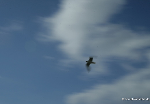 08-07-19-duesseldorf 067