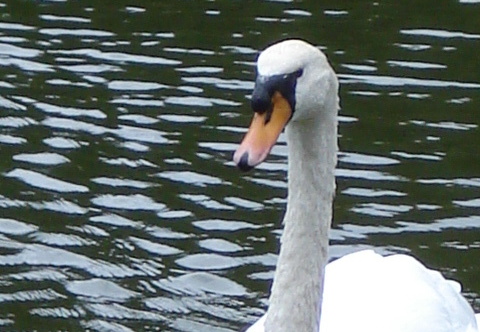 08-07-20-duesseldorf-033