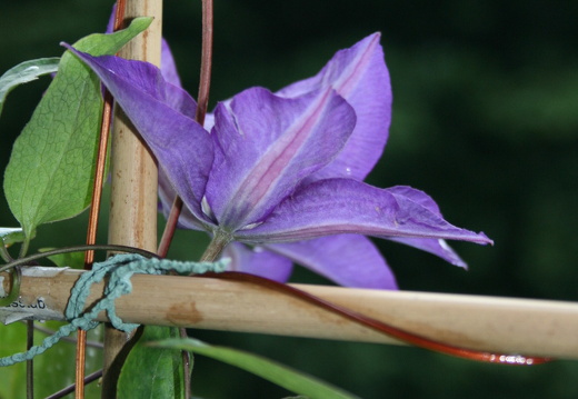 08-07-20-duesseldorf 266