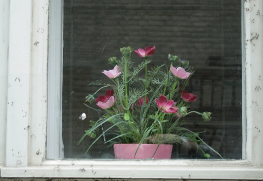 08-07-21-duesseldorf 267