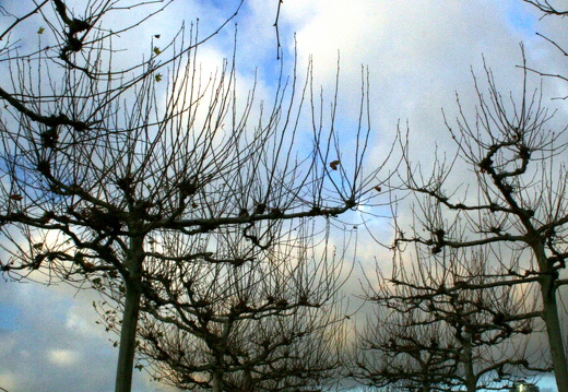 08-12-18-duesseldorf-altstadt- 164a