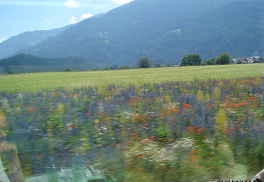 08-06-20-schweiz-glacier-express- (4)