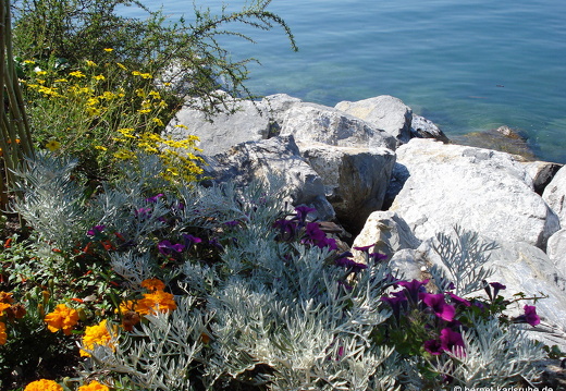 08-06-20-schweiz-glacier-express- (11)