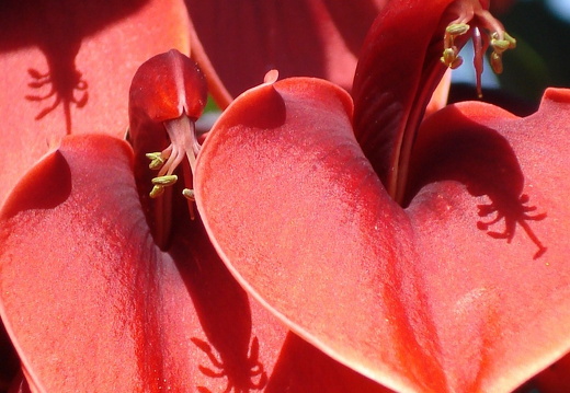 08-06-20-schweiz-glacier-express- (14)