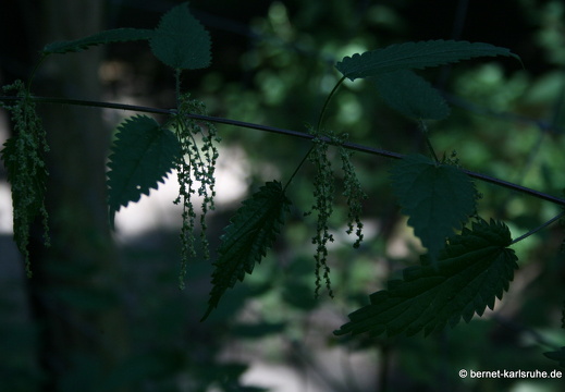 08-07-16-city-24-stundenkarte 020