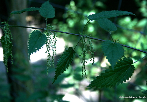 08-07-16-city-24-stundenkarte 020a