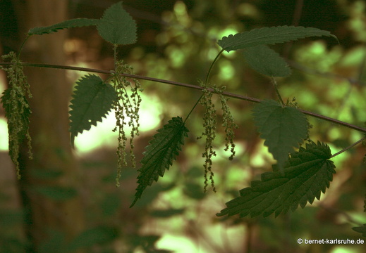 08-07-16-city-24-stundenkarte 020b