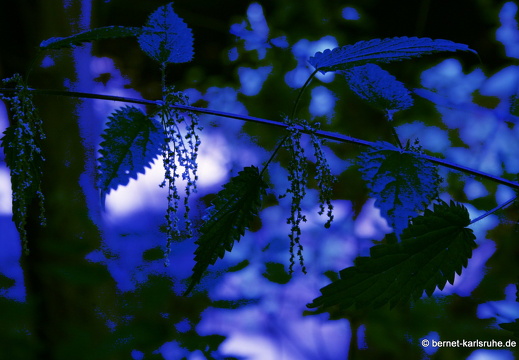 08-07-16-city-24-stundenkarte 020c