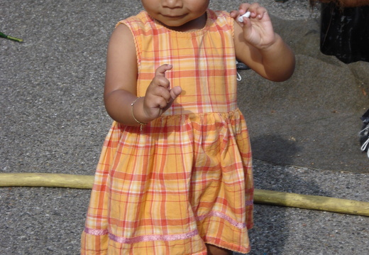 08-07-26-afrikafest 042