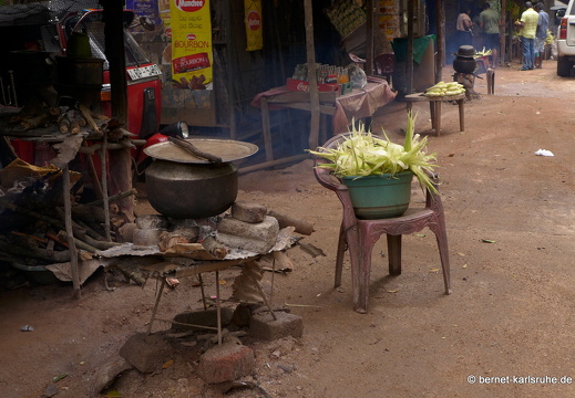 14-01-16-fahrt nach sigiriya-215