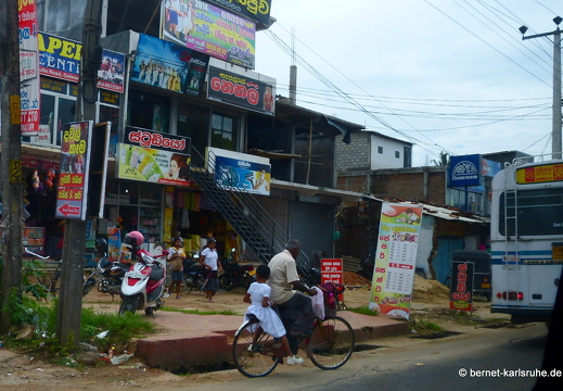 14-01-16-fahrt nach sigiriya-250