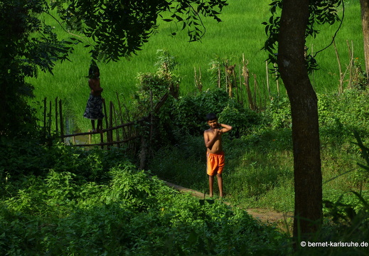 14-01-17-sigiriya-158