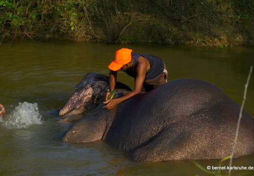 14-01-17-sigiriya-194
