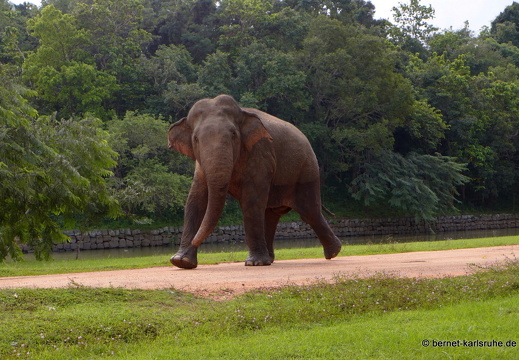 14-01-19-sigiriya-032