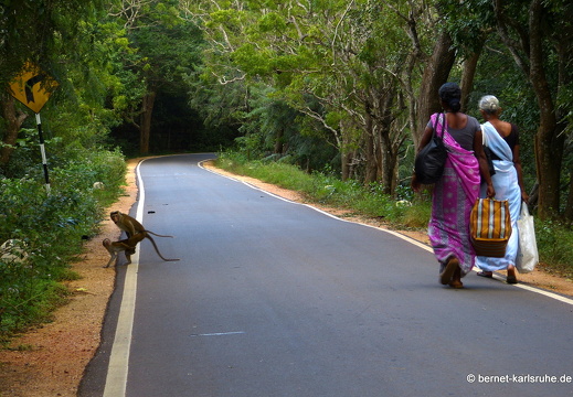 14-01-19-sigiriya-095