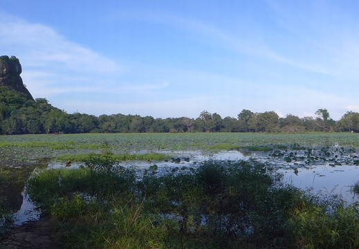14-01-19-sigiriya-131