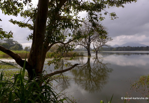 14-01-20-sigiriya-kibissa- see-235